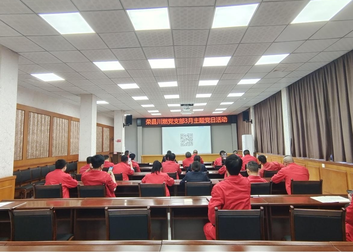 榮縣川燃黨支部組織開展黨史教育主題黨日活動 榮縣川燃黨支部組織開展黨史教育主題黨日活動